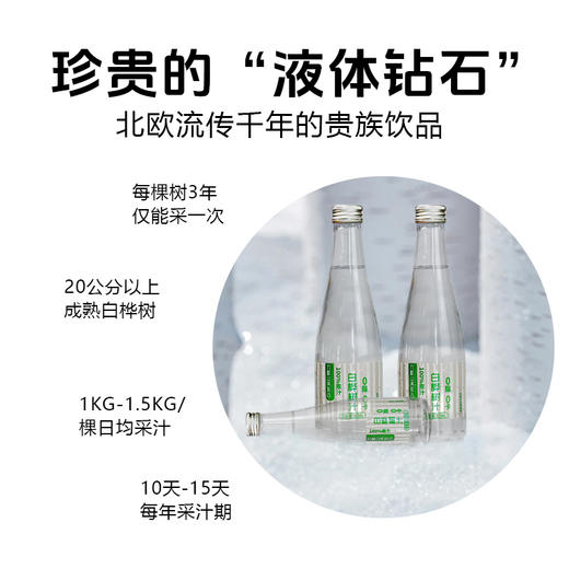 【顺丰包邮】九峰山养心谷白桦树汁养生健康饮品天然植物饮料 商品图1