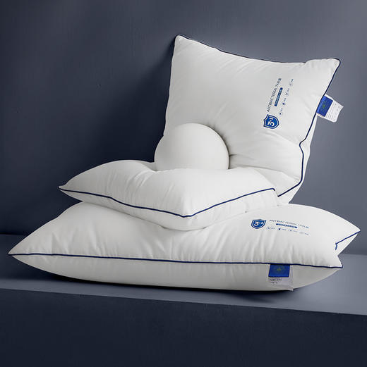 【专为大油头设计】SleepHero三防大白枕 全棉A类抑jun防螨五防枕 无缝贴合颈椎 舒缓肩颈肌肉群 耐脏透气易散汗 细腻亲肤 无静电 敏感肌适用 商品图0