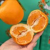 柑橘皇后～精笃大雅柑【净重约7斤】 商品缩略图4