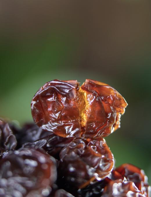 「玫瑰花香的葡萄干」莫斯卡特葡萄干  90g/袋 商品图2