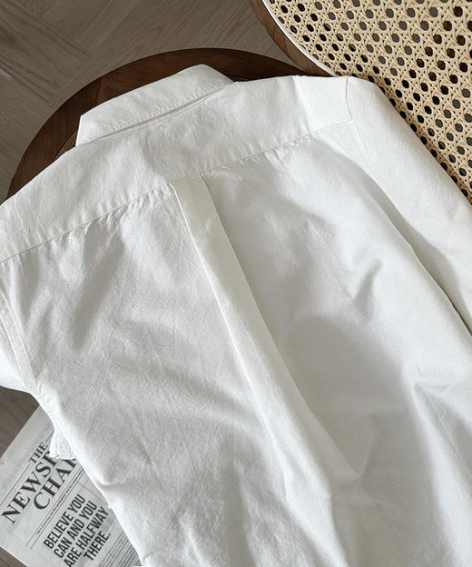 现货 THS-无 RL家 在售款牛津布全棉材质衬衫 5色 AG1316 商品图13