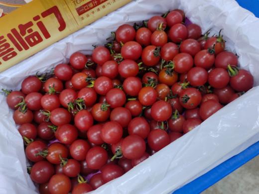 千禧临门小柿子一箱 商品图1