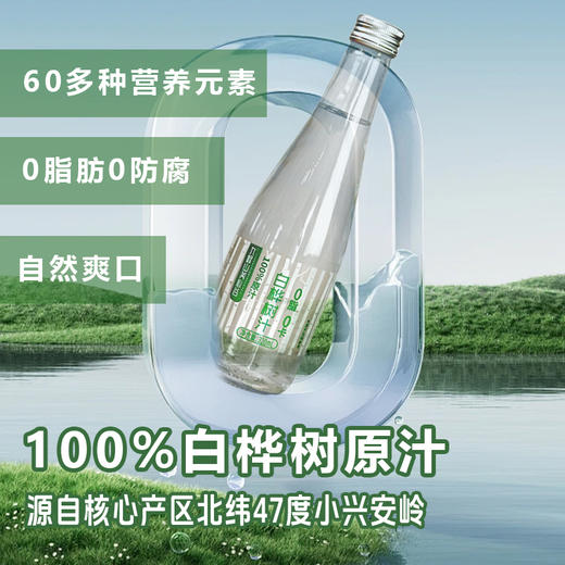 【顺丰包邮】九峰山养心谷白桦树汁养生健康饮品天然植物饮料 商品图4
