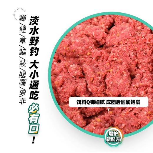 汉鼎必有口鱼饵饵料鲤鱼饵料野钓鱼食全能香腥饵鲫鱼一包搞定饵料 商品图1