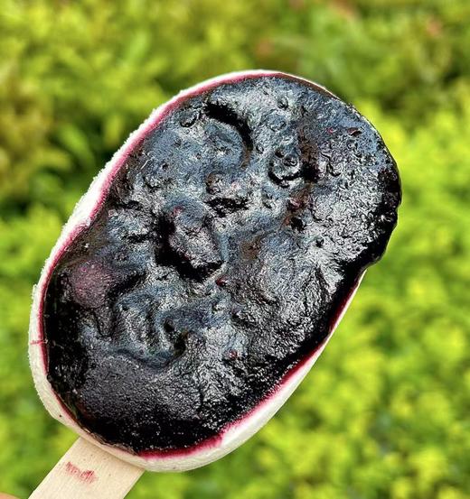 富康-鲜果42%蓝莓桑葚 商品图1