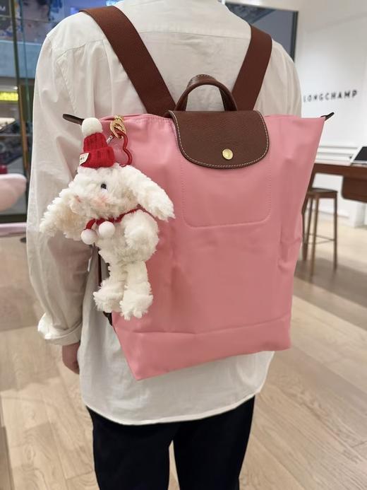 新款通勤出游必备男女同款龙翔双肩包 商品图13