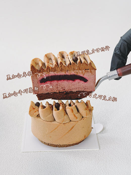 黑加仑紫焰 商品图2