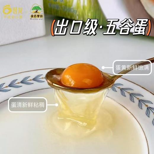 【10号晚24点截单 周一至周三晚发货 周五-周日不发货 五谷鸡蛋30枚装送20枚 实发50枚】不卖隔夜蛋 口感细腻 香嫩Q弹 无激素 无抗生素 无沙门氏菌 商品图2
