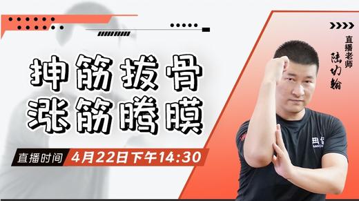 【4月23日】抻筋拔骨 涨筋腾膜 商品图0