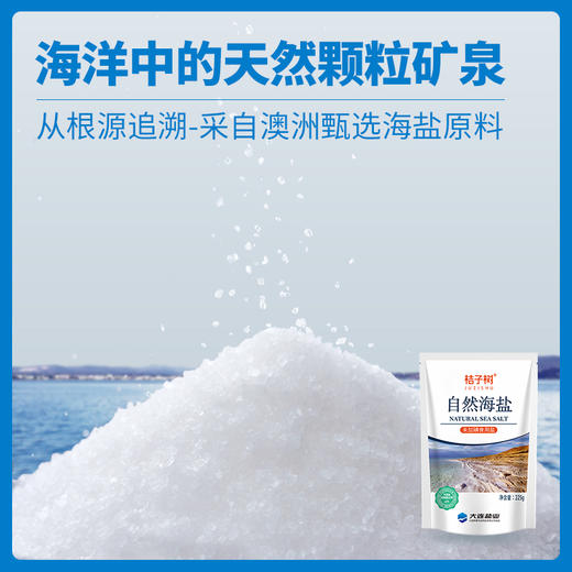 【自然海盐】澳洲进口原盐，不加碘、不加抗结剂， 商品图1