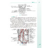 局部解剖学 第4四版 十四五规划教材全国高等学校教材 张雅芳 徐飞主编 供八年制及5+3一体化临床医学等专业用 人民卫生出版社 商品缩略图4