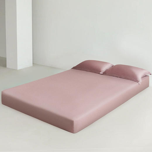 官网1699！夏季80S莱赛尔天丝床笠枕套三件套单双人高级感防滑固定床套 商品图7