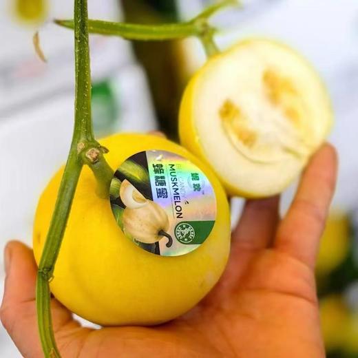 妮欢蜂糖蜜马连庄甜瓜 商品图0