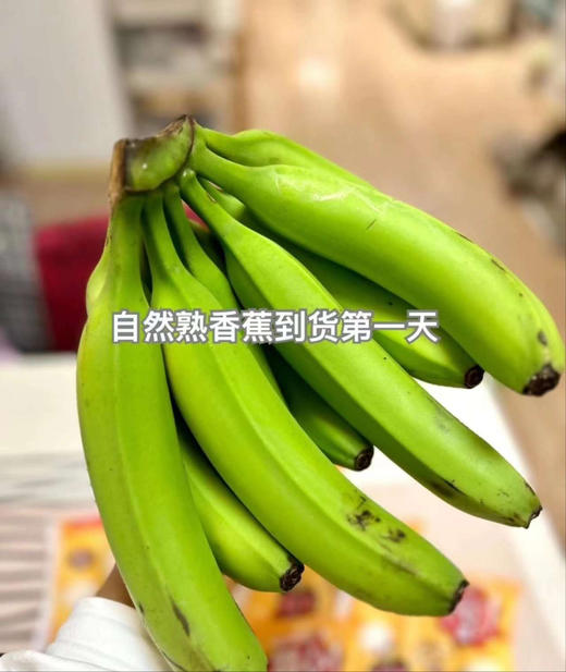 云南威尼斯香蕉
口感甜软细滑，香糯无比～
不泡药不泡保鲜剂，不催熟，真正的健康安全，收到后打开箱子从保鲜袋里拿出来，把水分擦干净，再继续放个苹果两三天就可以香甜无比！4斤/箱 商品图2