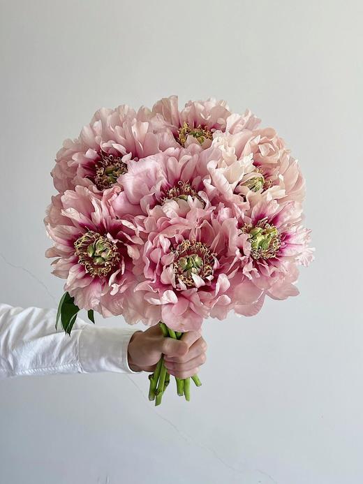 【预售！4.20起陆续发货】卡洛琳警官【你永远胜过别人，至少在我这里】简小姐精选伊藤新品 卡洛琳警官 2件包邮 顺丰空运直发 商品图9