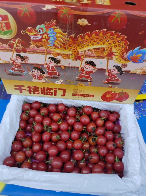 千禧临门小柿子一箱 商品图0