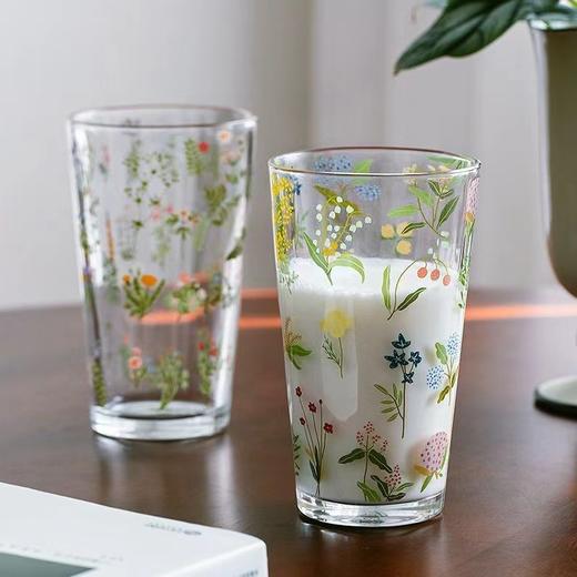 小清新玻璃杯 商品图0