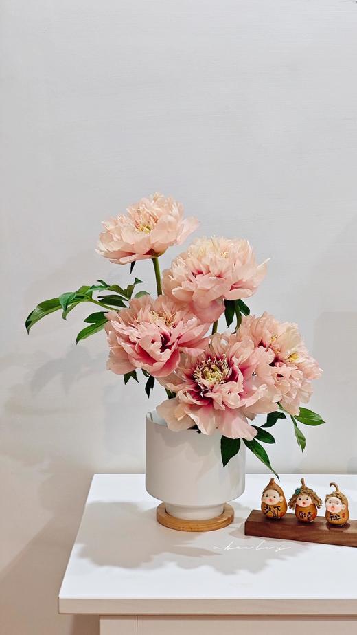 【预售！4.20起陆续发货】卡洛琳警官【你永远胜过别人，至少在我这里】简小姐精选伊藤新品 卡洛琳警官 2件包邮 顺丰空运直发 商品图3