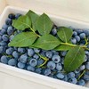 鲜枝蓝莓约350G 商品缩略图0