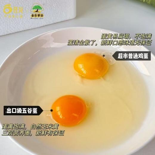 【10号晚24点截单 周一至周三晚发货 周五-周日不发货 五谷鸡蛋30枚装送20枚 实发50枚】不卖隔夜蛋 口感细腻 香嫩Q弹 无激素 无抗生素 无沙门氏菌 商品图1