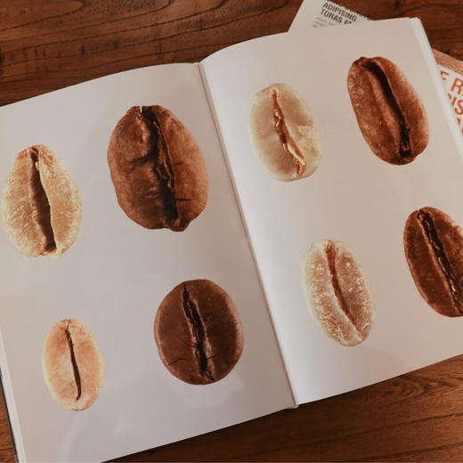 咖啡全书（法）伊波利特·库尔蒂 著 解读精品咖啡的一切 商品图4