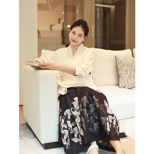 马面裙（23806416-京元）+半袖（1111111） 商品图0