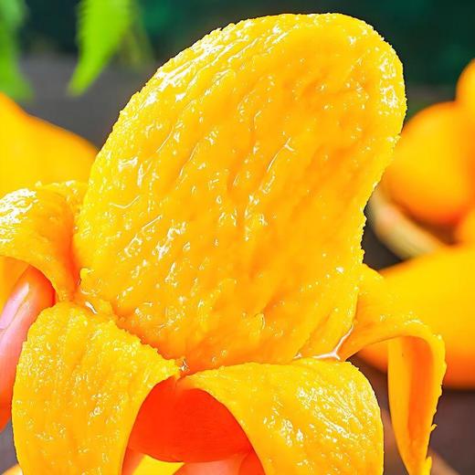 台农芒约2斤 商品图1