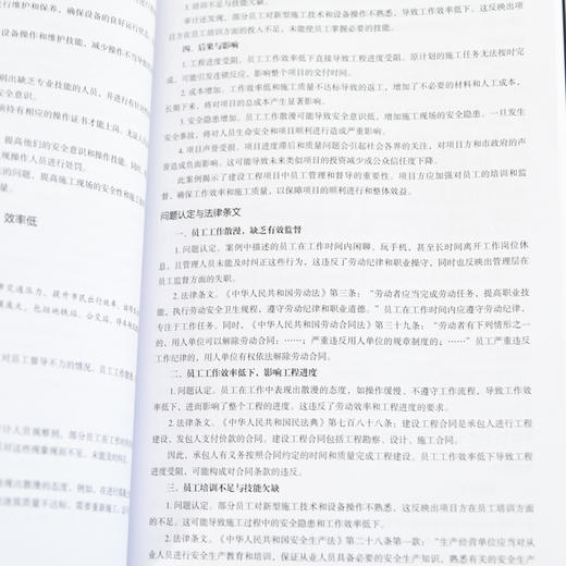 工程建设项目审计详解与实务 实战技巧+条文详解+案例分析 商品图4