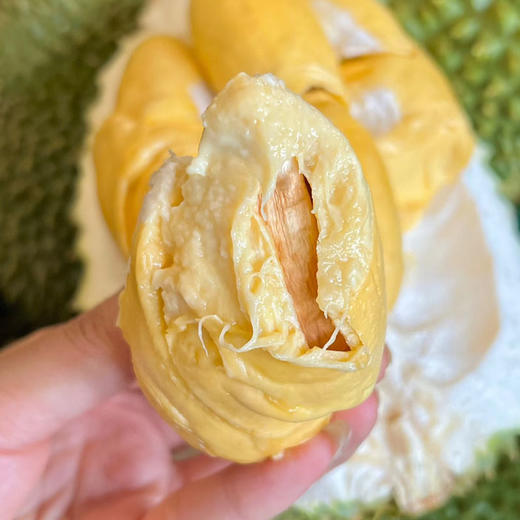 【整果销售】托曼尼榴莲 500g(超重部分 补差价） 商品图3