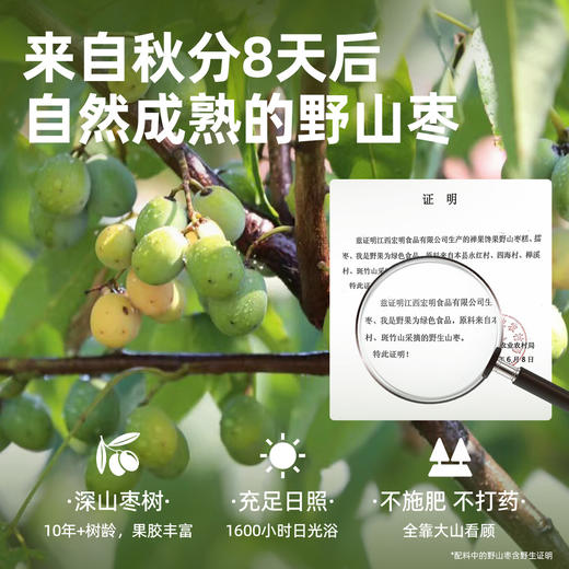 原擂枣饼！西域美农拾山无核野山枣饼140g酸酸甜甜紫苏/陈皮/玫瑰多口味 商品图1