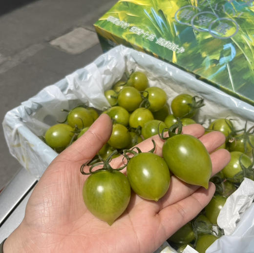 【青霞千禧】绿千禧，口感甜，皮薄，特别好吃，补充维生素，家里小朋友的零食水果！ 商品图1