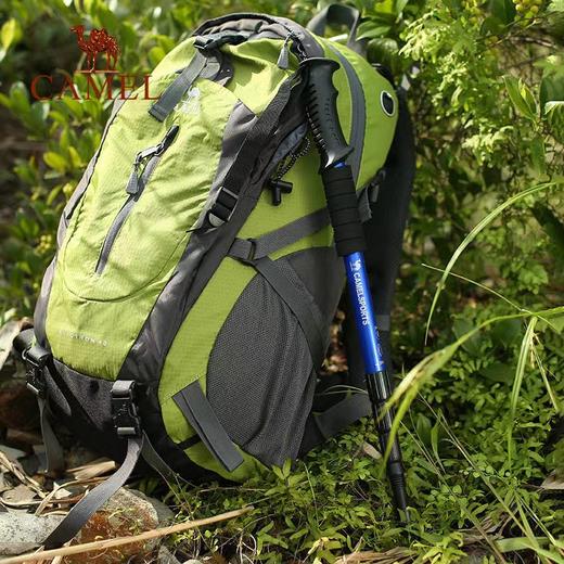 登山杖 商品图2