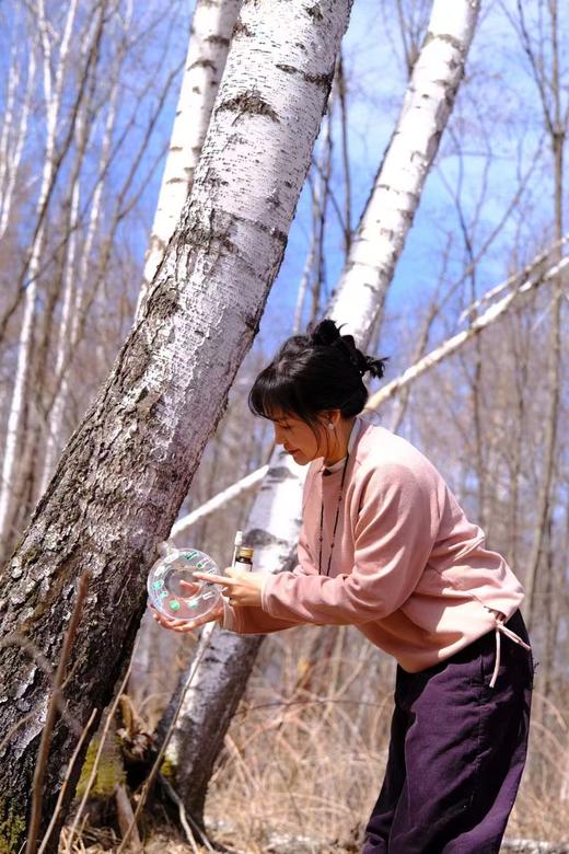 【嘉桦有17项专利证书真活性桦树汁】 一起解密白桦树汁的生命力来源 商品图4
