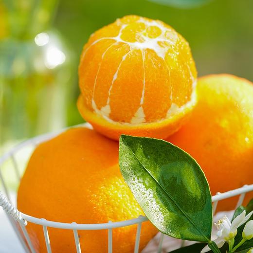 【斌哥优选】花香伦晚。花果同枝，橙香味浓。有盲盒，有精选高糖果。 商品图0