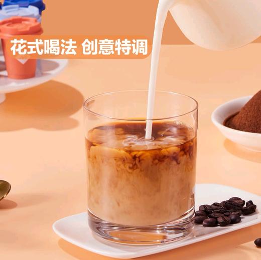 Member ' s Mark 冻干速溶咖啡粉72g 商品图4