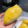 【整果销售】托曼尼榴莲 500g(超重部分 补差价） 商品缩略图2