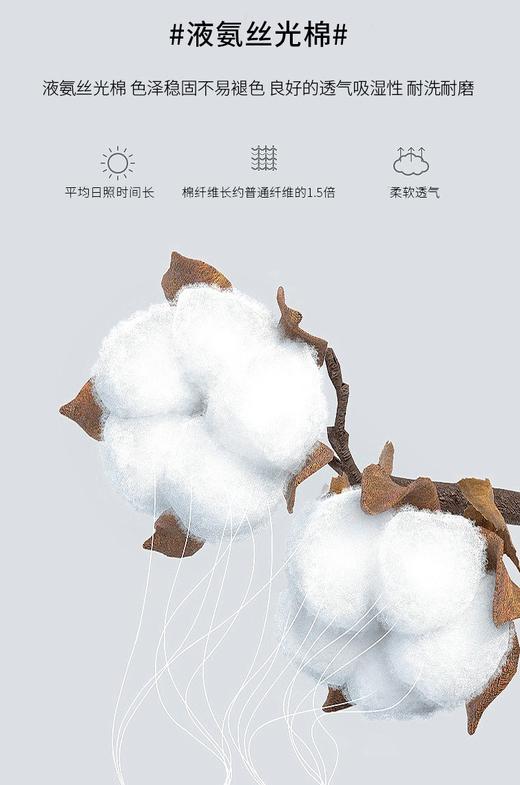 男士高级A类双面液氨丝光棉抗菌长袖春透气体恤男 商品图6