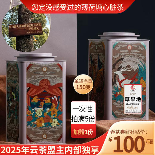 【2025年春茶尝鲜】薄荷塘的心脏【草果地】藏匿于易武国有林原始森林深处的高杆古树，生态环境吊打一切产区！滋味强劲有力道，不允许错过！ 商品图0