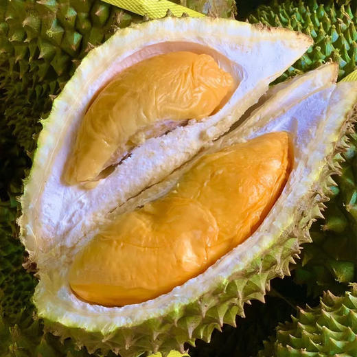 【整果销售】托曼尼榴莲 500g(超重部分 补差价） 商品图0