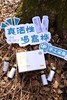 【嘉桦有17项专利证书真活性桦树汁】 一起解密白桦树汁的生命力来源 商品缩略图9
