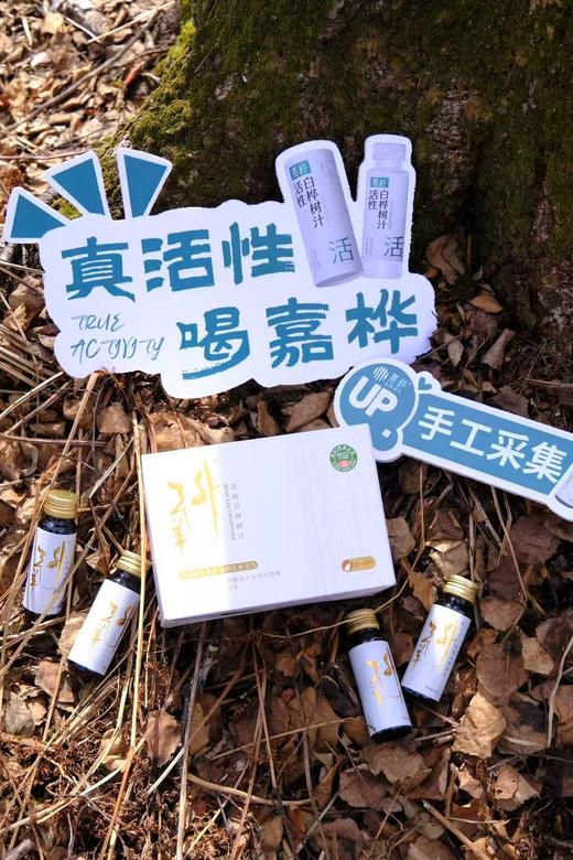 【嘉桦有17项专利证书真活性桦树汁】 一起解密白桦树汁的生命力来源 商品图9