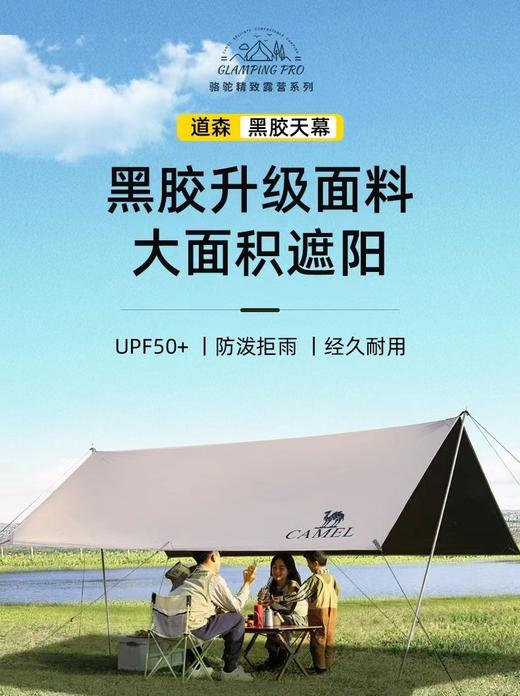 黑胶天幕 商品图0