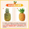 现货凤梨一箱（3个）
6斤左右 商品缩略图10