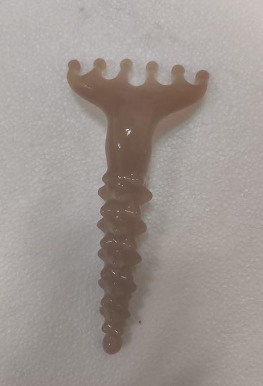 白水海参水滴扒 商品图0