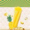 和路雪菠萝喳喳口味棒冰 78g*1支/4支 商品缩略图4