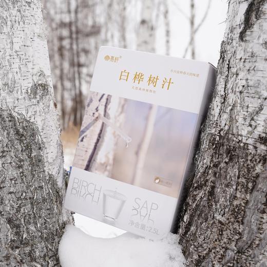 嘉桦纯白桦树汁水饮料有机森林桦树原液植物饮品2.5L盒装(非浓缩)【顺丰发出退货需支付实际拦截费用】 商品图6