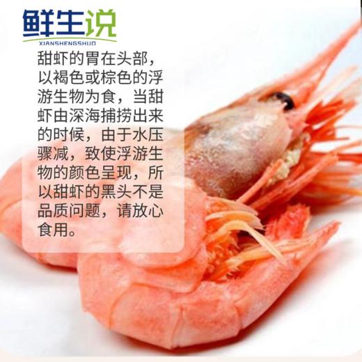【鲜生说2025当季头籽北极甜虾】味道鲜美（头籽）天然纯净船冻锁鲜 北极甜虾来自遥远且纯净的丹麦格陵兰岛 商品图4