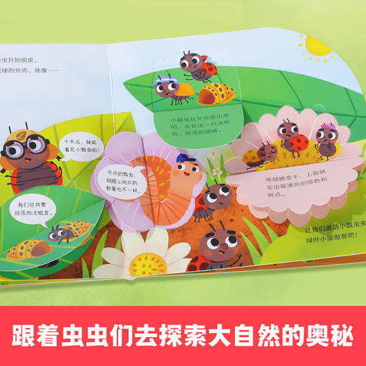 莉莉兰的小虫虫(全6册) 商品图1