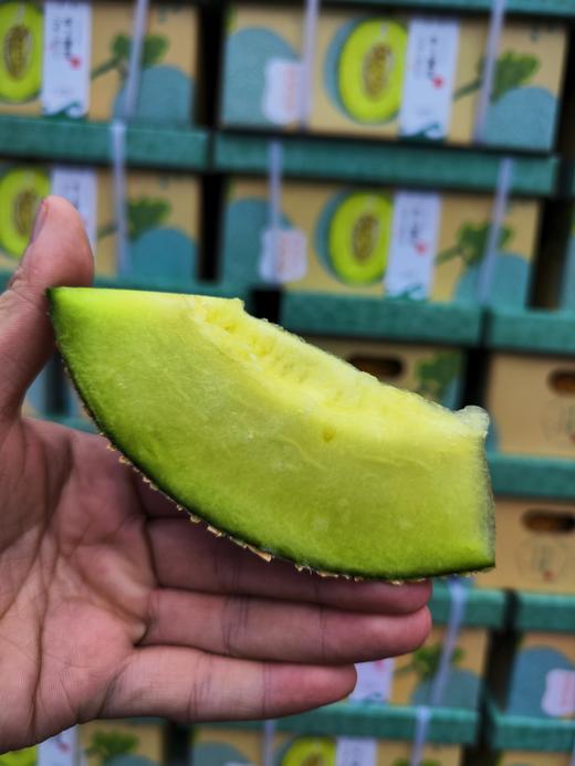 【超甜网纹瓜】团结网纹蜜瓜，冰淇淋蜜瓜，艺术般的网纹，翡翠般的软糯果肉 商品图3