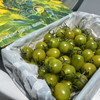 【青霞千禧】绿千禧，口感甜，皮薄，特别好吃，补充维生素，家里小朋友的零食水果！ 商品缩略图5